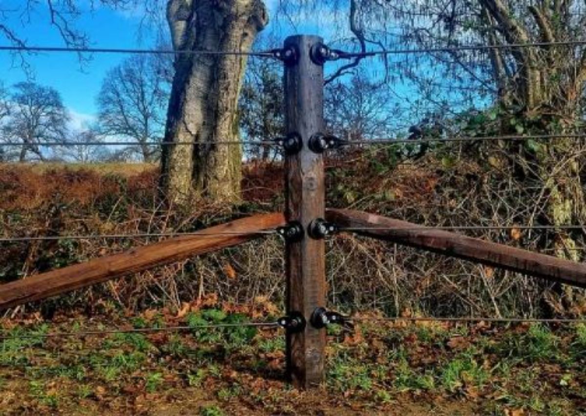 Electrifiable wooden fence.