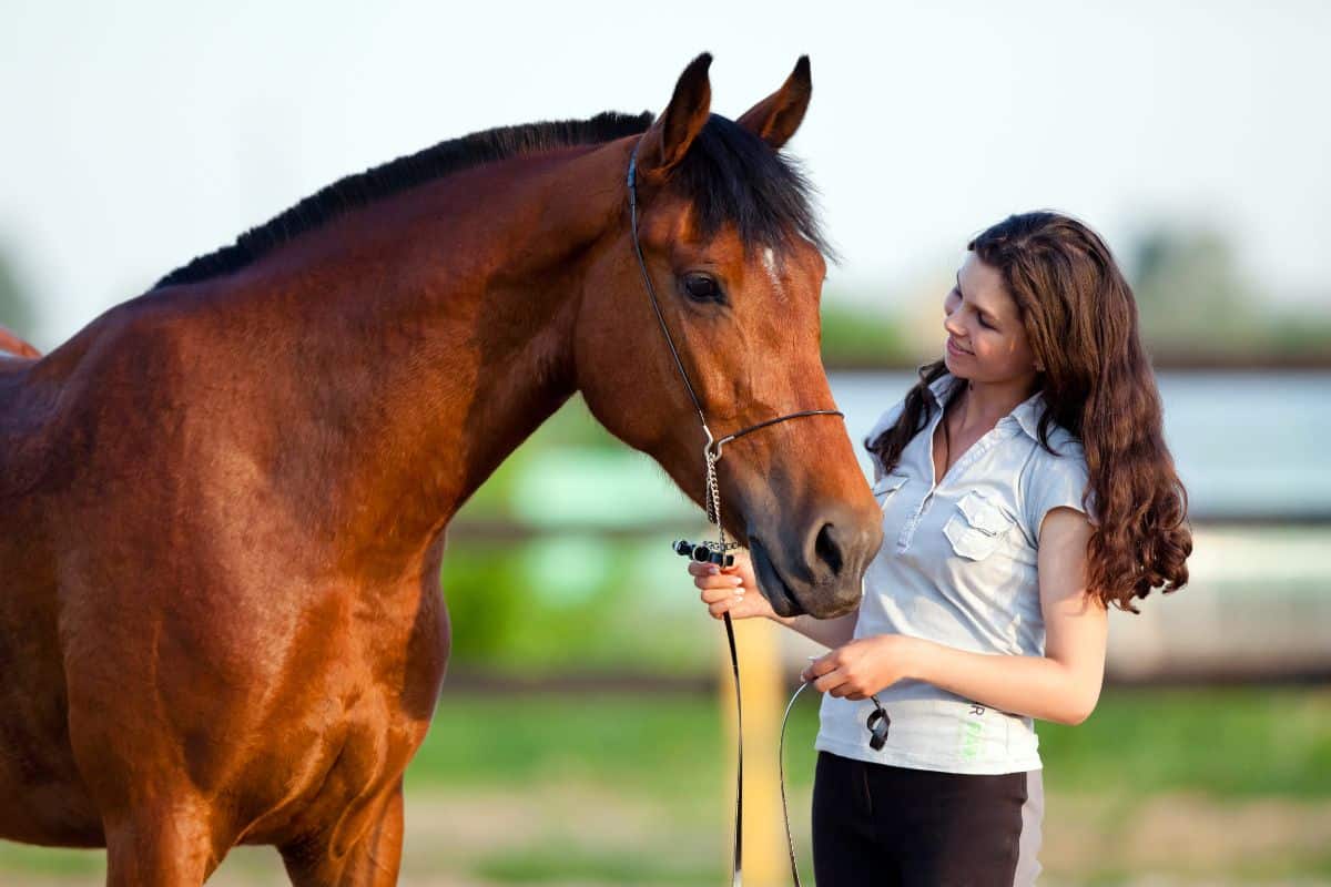 A young woman stands near a brown horse.